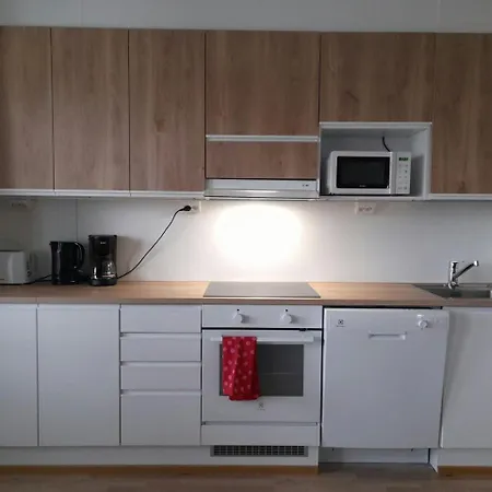 Apartment Convenient For 3 Oulu